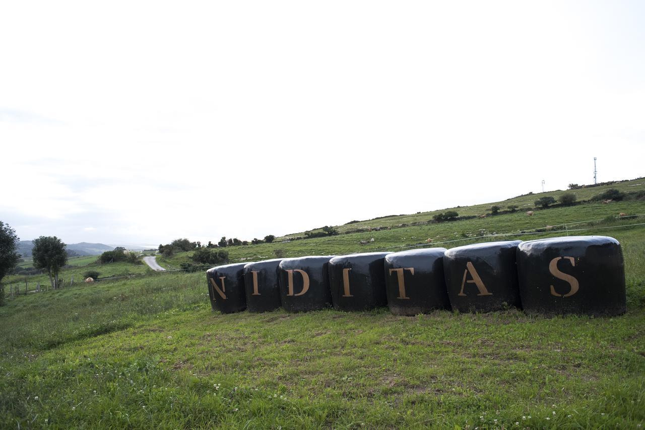 Suites Niditas Yuso Eksteriør bilde